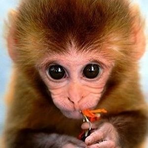 Meet your Posher, Traci